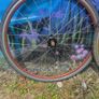Fixie, single speed wheels. Image 3