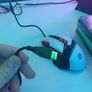 Mouse Image 3