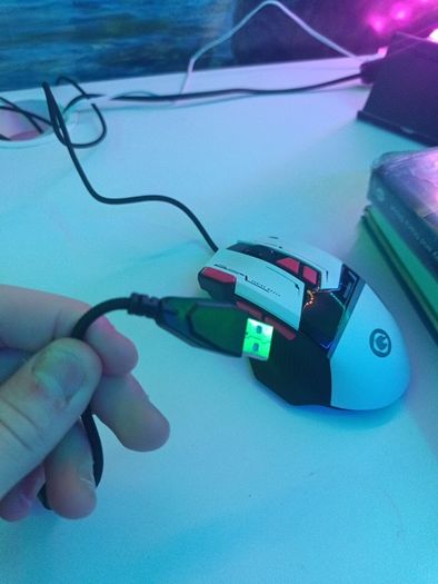 Mouse