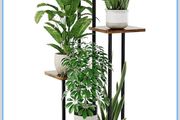 flower stand