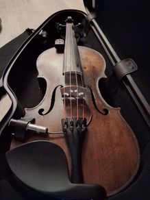 Violin