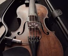 Violin