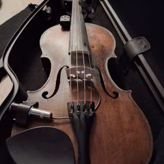 Violin
