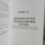 Growing in the Image and Likeness of God: A Review of the Discipleship Project and the Five Marks of Mission in the United Dioceses of Dublin and Glendalough by David Tuohy and Maria Feeney (LP216) Image 2