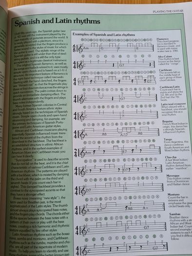 The Guitar Handbook By Ralph Drnyrr. Large Vole Book Of 251 Pages For Amature & Professional.