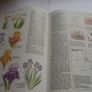 A Gardener Book 'growing Your Favorite Plants' Image 4