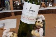Wine bottle stand