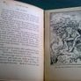 Echoes of Erin told and illustrated for children Image 5