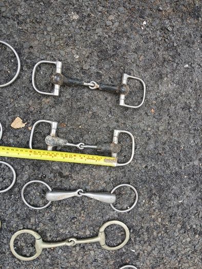 horse bits