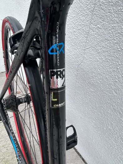 Giant TCR Advanced Pro 2 - Large - Full Carbon