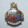 RAILWAY COMPANY (logos & crests) - 9 x quality enamel badges (1960s to early 1980s). Lot B Image 2