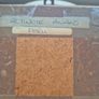 Vintage Real Butterfly Taxidermy Shadow Box - Actinote Anaxo Peru Image 2