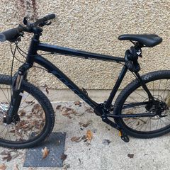 Carrera vengeance mountain bike (XL)