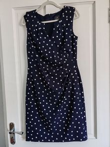 Adrianna Pappel dress