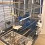 cage Image 7