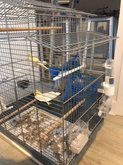 cage