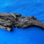 bog oak Image 2