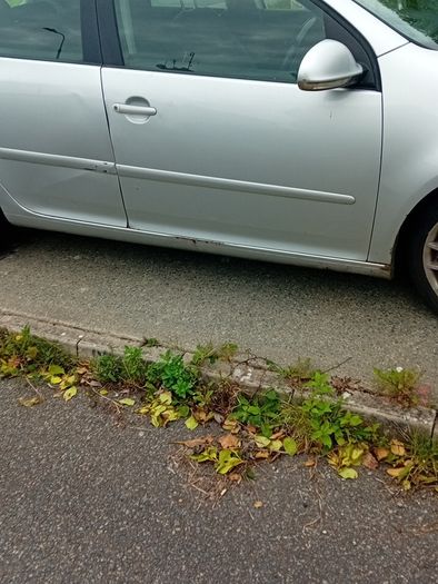 car vw