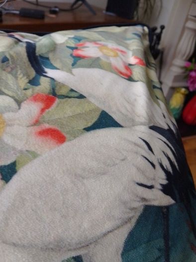 2 scatterbox cushions