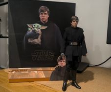 Luke Skywalker Dx22 - Hot Toys