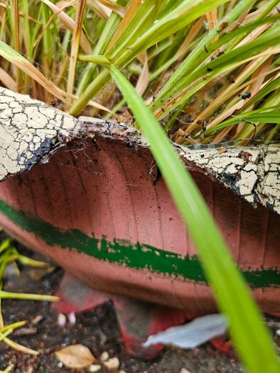 Large handmade planter