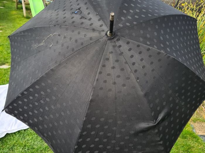 Vintage Black umbrella / parasol B & C Champion, Rare find