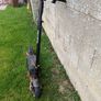 scooter Image 3