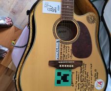 guitar Ashton D25 CEG NT