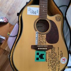 guitar Ashton D25 CEG NT