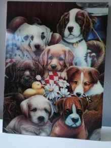 3 D picture of Gorgeous Puppies