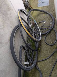 Bicycle wheels