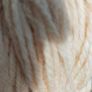 Irish Wool Yarn Aran 3ply Image 3