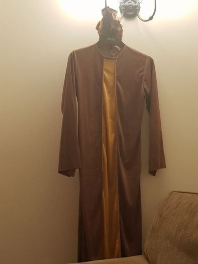 Halloween costume