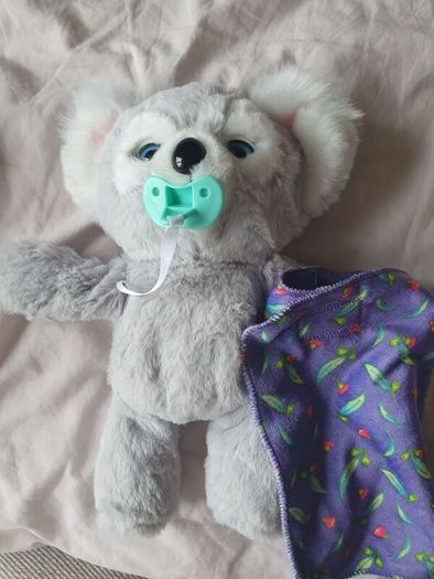 Free pets alive teddies