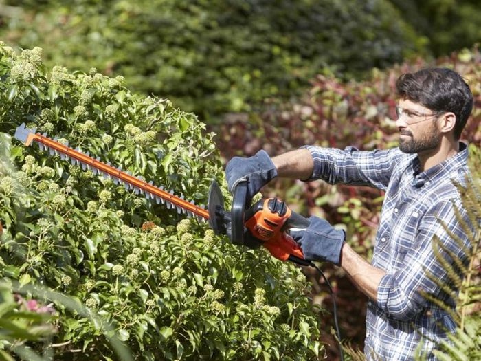Hedge Trimmer 60cm 600W Corded with Saw Blade (FREE POATAGE)