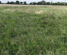 Standing crop