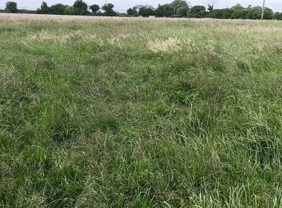 Standing crop