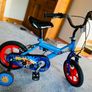 Man Kids Bike Image 3