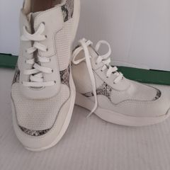 new clarkes trainers in box