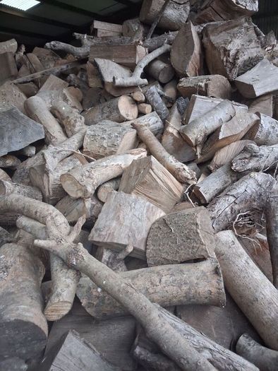 firewood