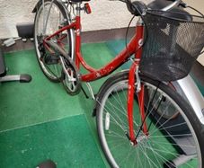 ladies bike with basket