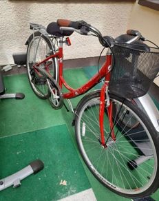 ladies bike with basket