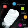 85W Bulb Continuous Light Photo & Video Studio - 6220 Image 3