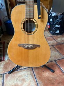 Sx acoustic guitar