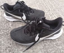 Nike Pegasus Trail 5 ATC Runners Fly Wire