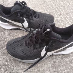 Nike Pegasus Trail 5 ATC Runners Fly Wire