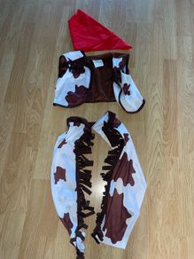 Woody - Toy Story costume