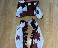 Woody - Toy Story costume