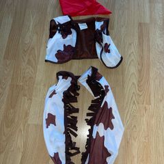 Woody - Toy Story costume