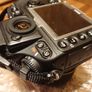 Nikon D800 + 105mm Macro Lens + Macro Flash Image 5
